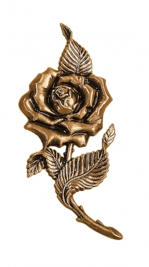 Цветок, 1602